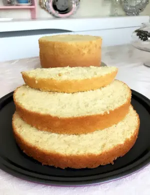 Бисквит