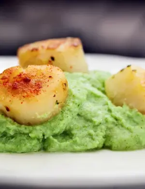 Морские гребешки с картофельным пюре
