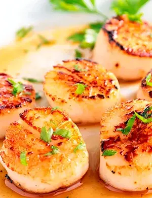 Морской гребешок Scallops
