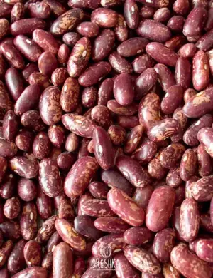 Red Speckled Kidney Bean