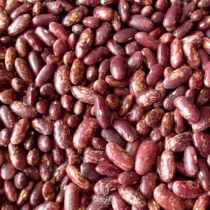 Red Speckled Kidney Bean
